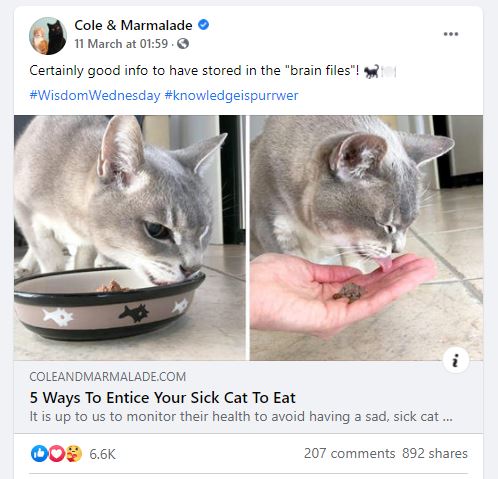 Cole and Marmalade Cole and Marmalade