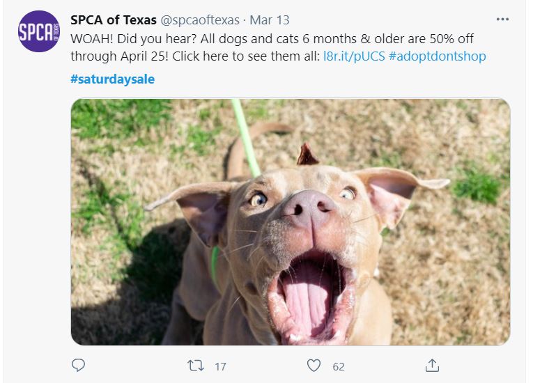 celebrate-Saturday celebrate-Saturday