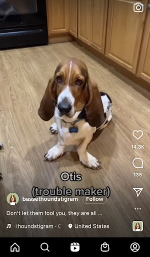 Tab Reels Icon Tab Reels Icon