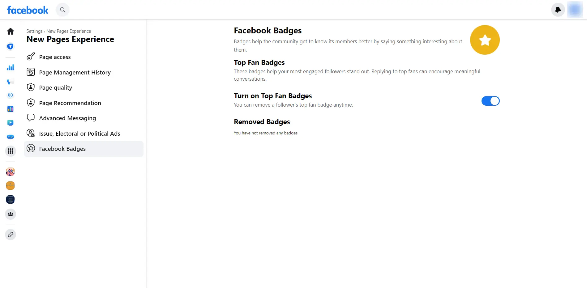 Facebook Badge Facebook Badge