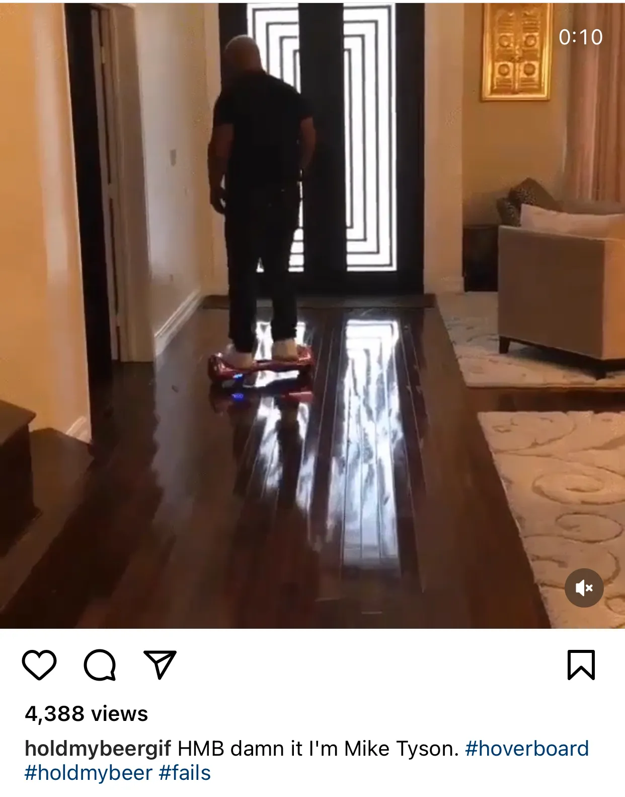 Hold My Beer Hold My Beer