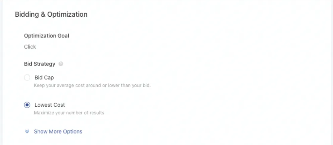 Bidding and Optimization Bidding and Optimization