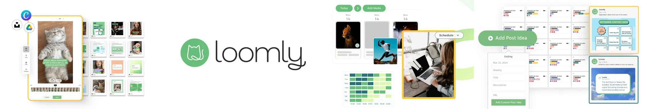 Loomly cover Loomly cover