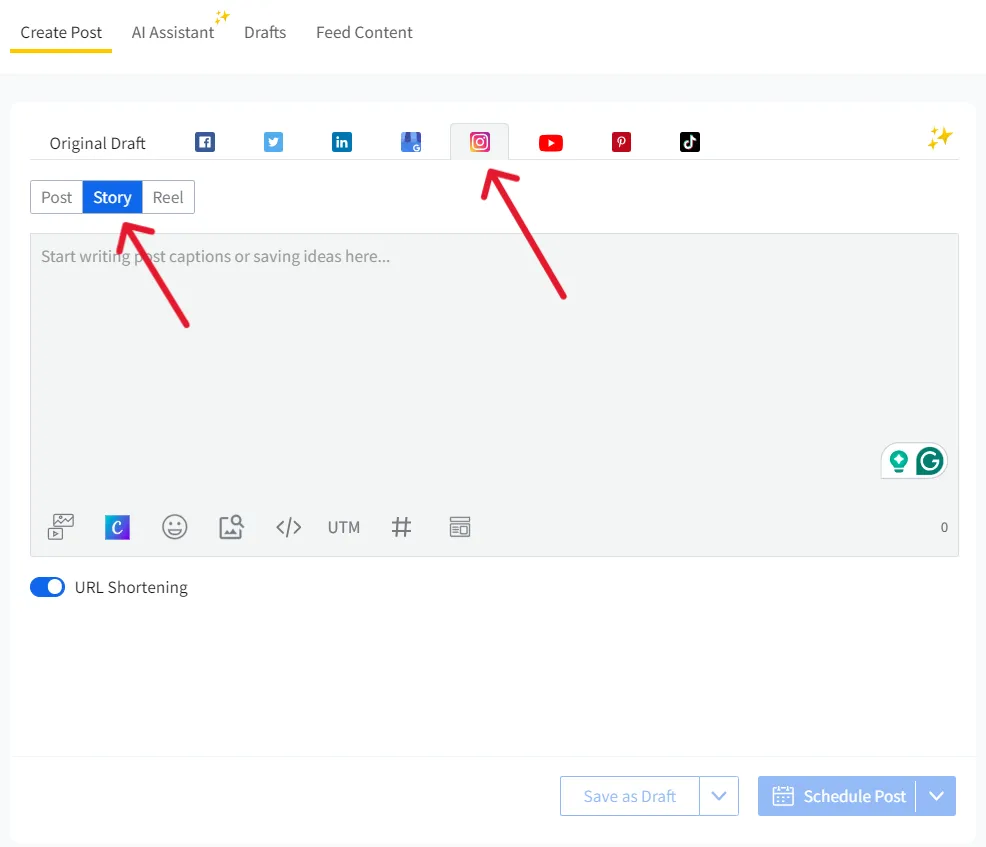 select Instagram as the platform and Story select Instagram as the platform and Story