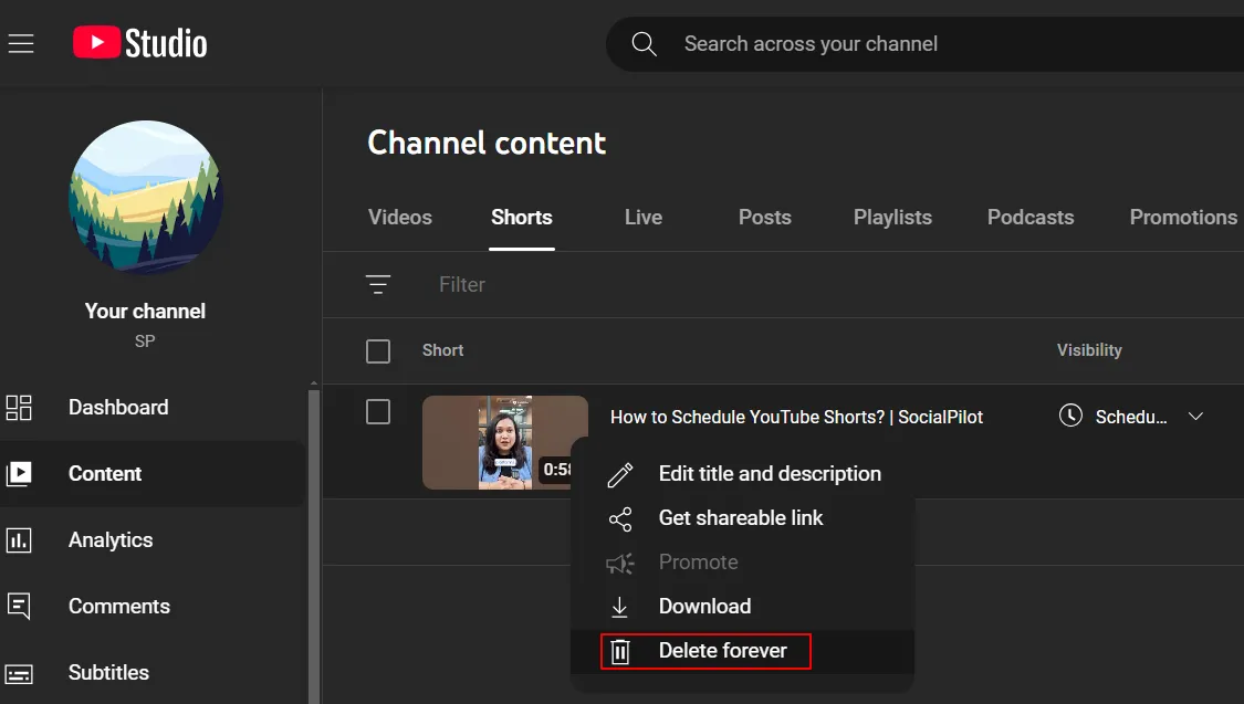 Delete Forever Delete Forever