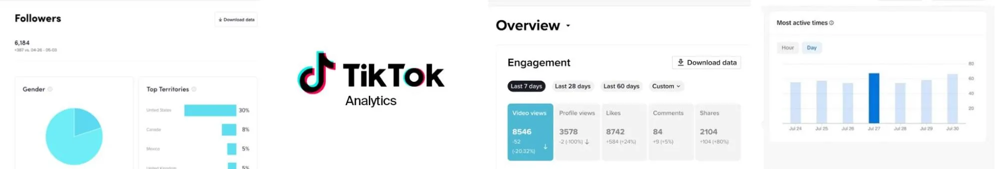 TikTok Analytics Tool