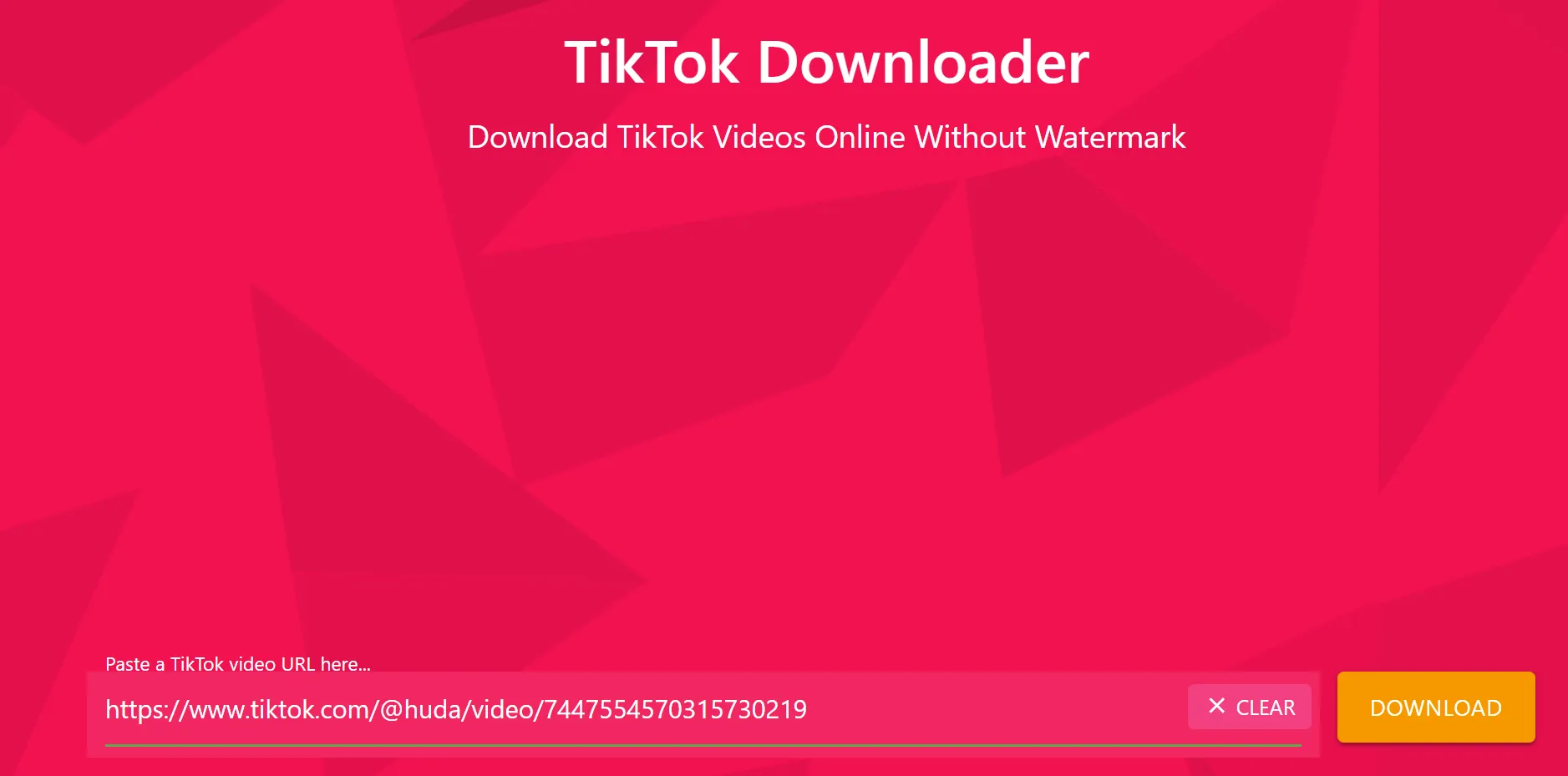 TikTok video downloader main screen