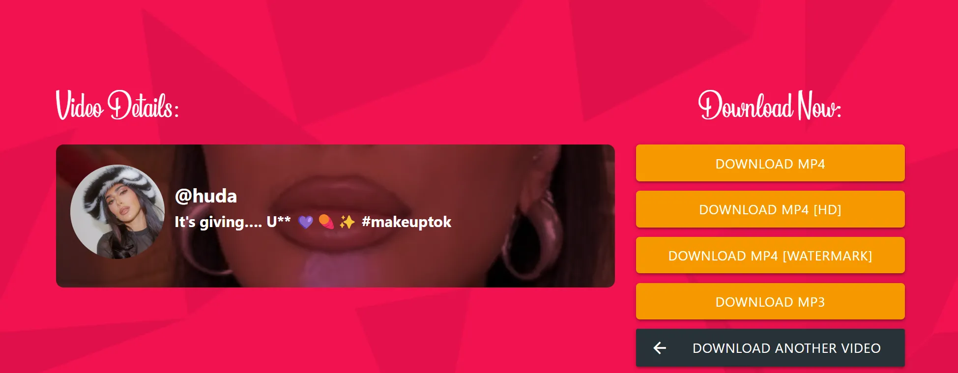 download your tiktok watermark removed video