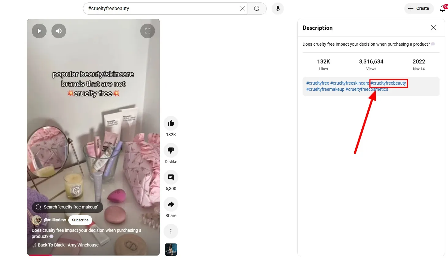 Use Hashtags for YouTube Creators Search
