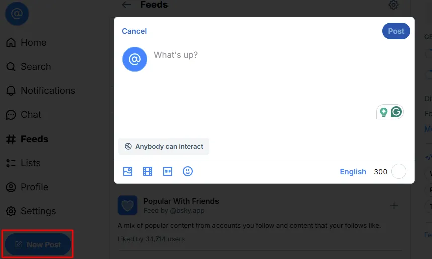 bluesky create your post