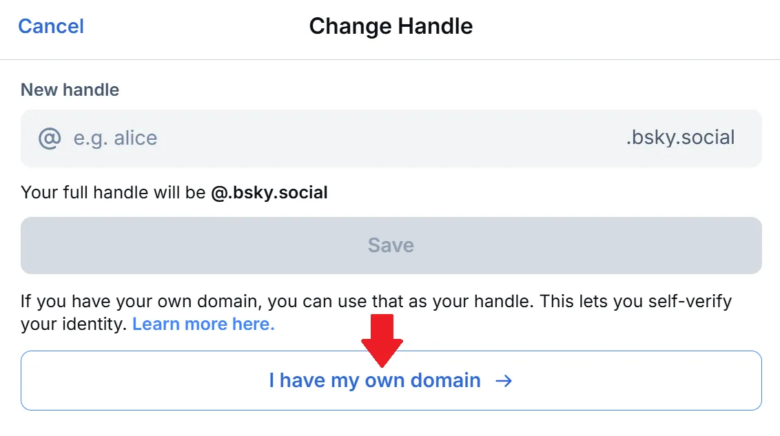 bluesky domain setting option