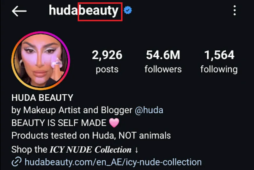 Instagram industry keyword insertion in handle name example