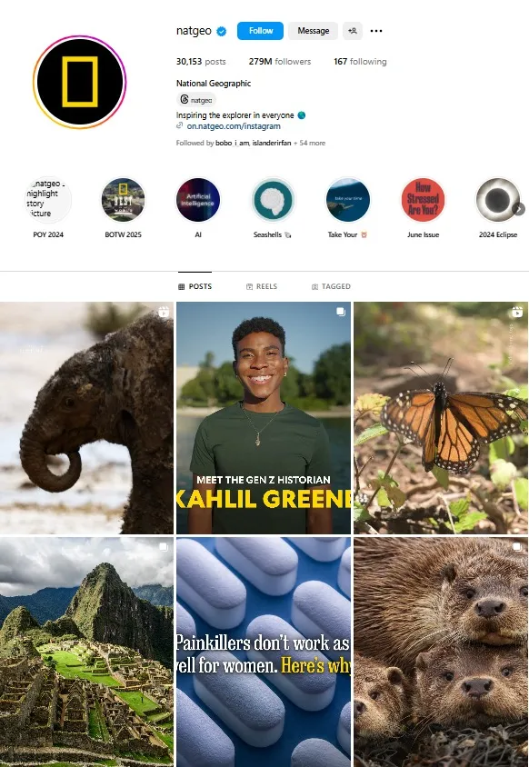 Aesthetic Instagram Color Palette
