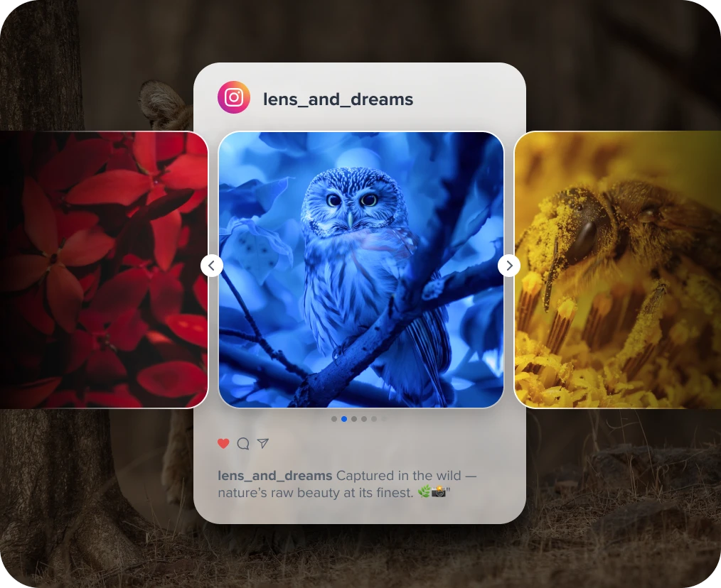 Build a Solid Fan Following