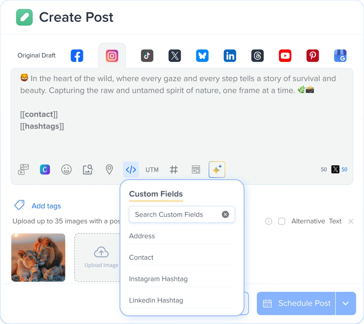 Create Once, Use Forever