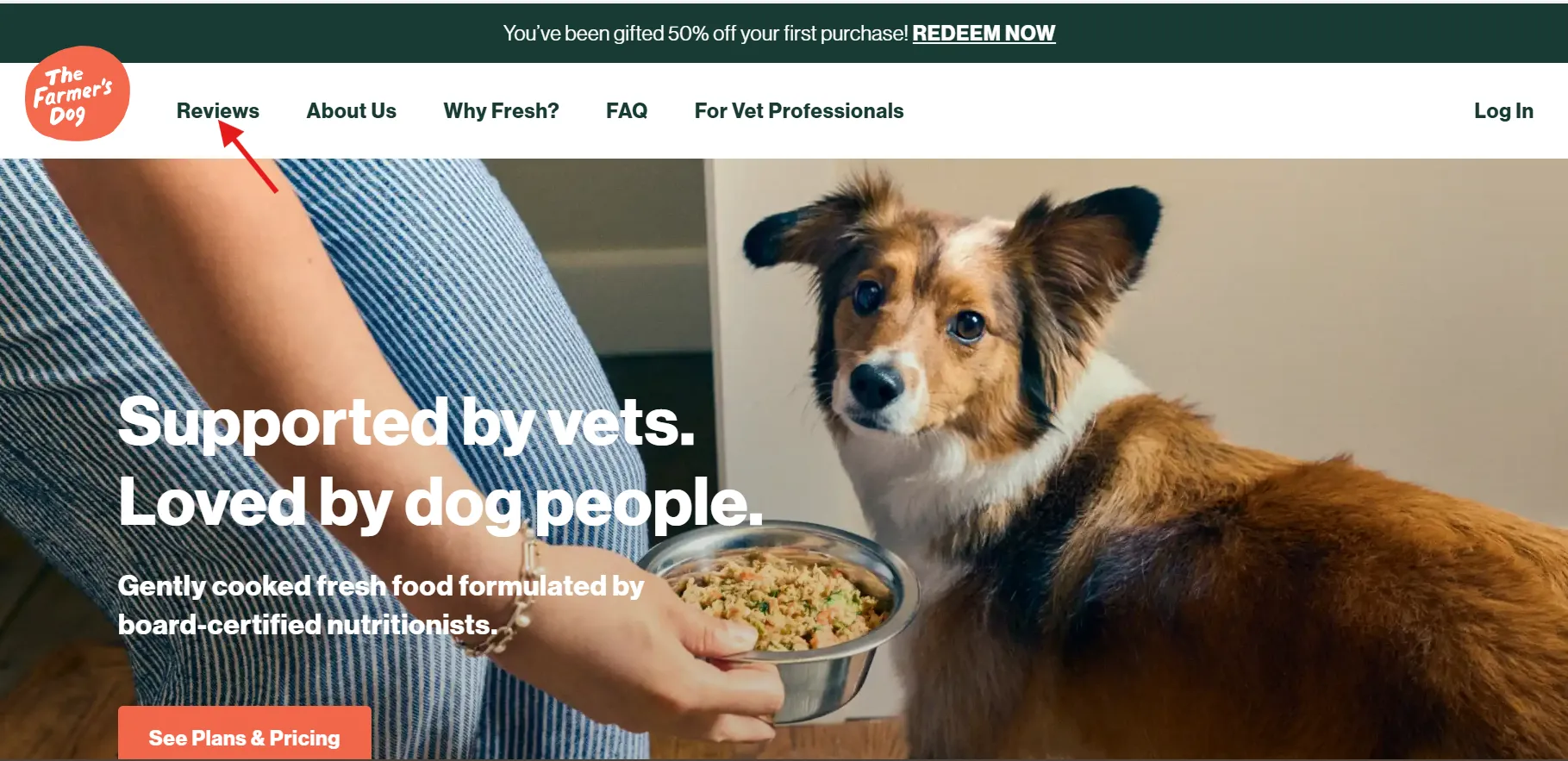 Write a review page on websites Write a review page on websites