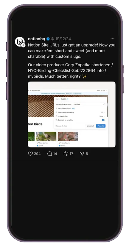 Notion’s thread announcing their new custom URL feature