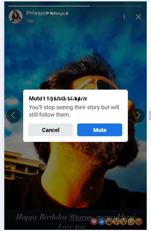 confirmation to mute the stories from a person or page