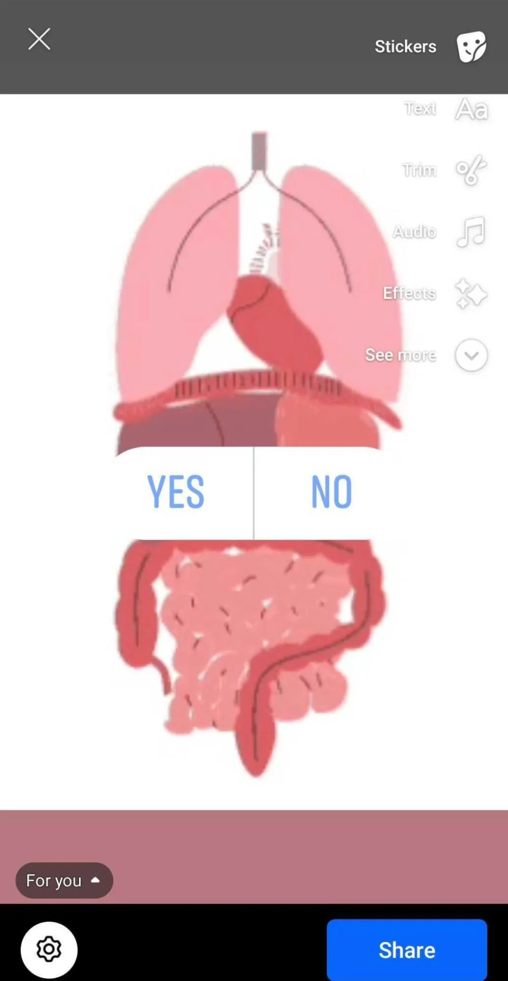 publish poll in stories