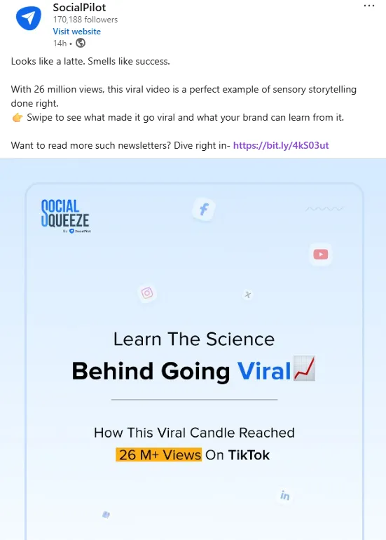 SocialPilot Generate Quality Leads Without Relying on Paid Ads