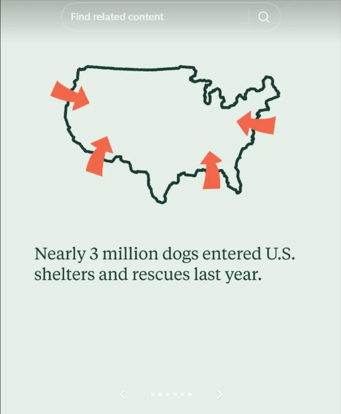 Their TikTok and Reels feature quick