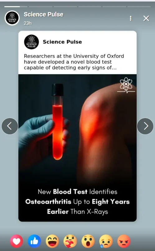 FB Stories on Trending News, Memes & Culture Moments