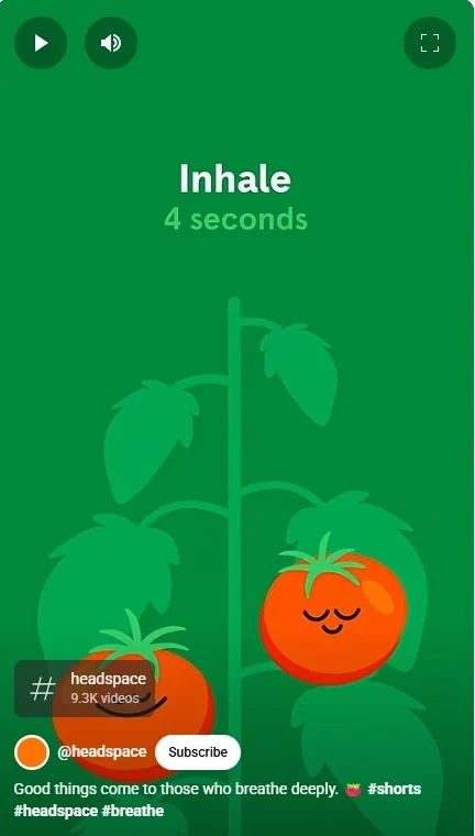 YouTube Shorts Video Length Formatting