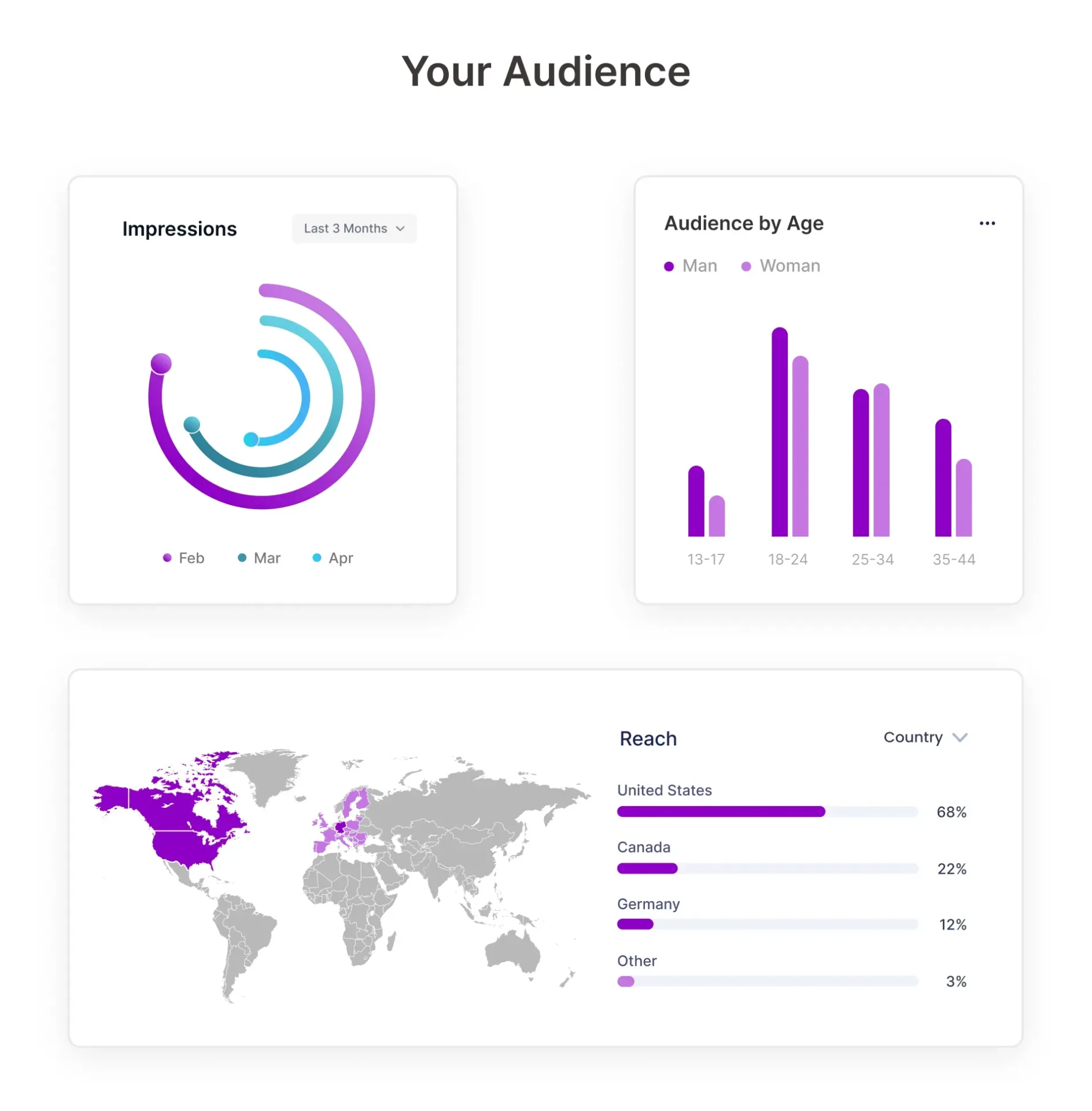 Understanding audience demographics