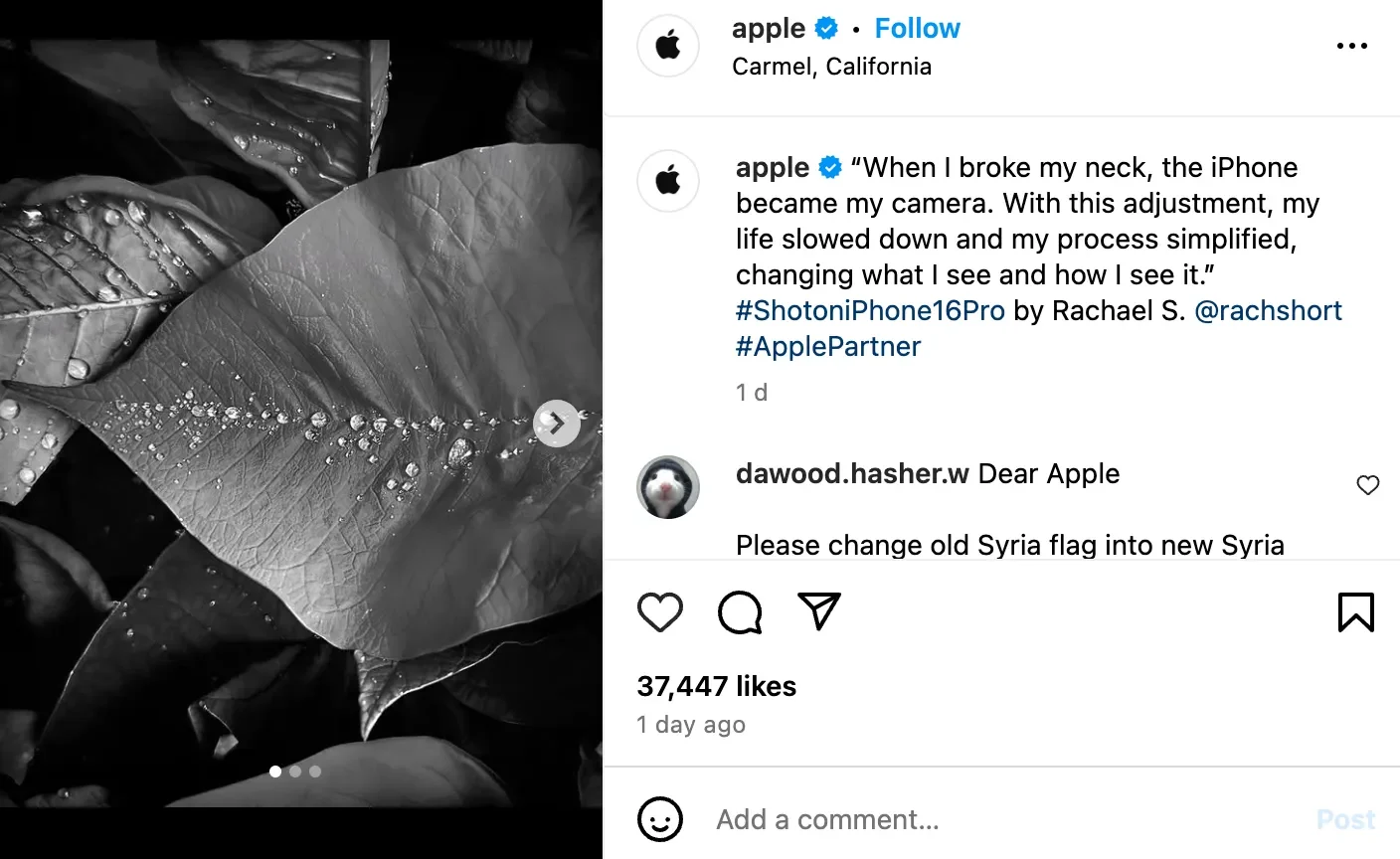 Apple Instagram Post User-Generated Content Example