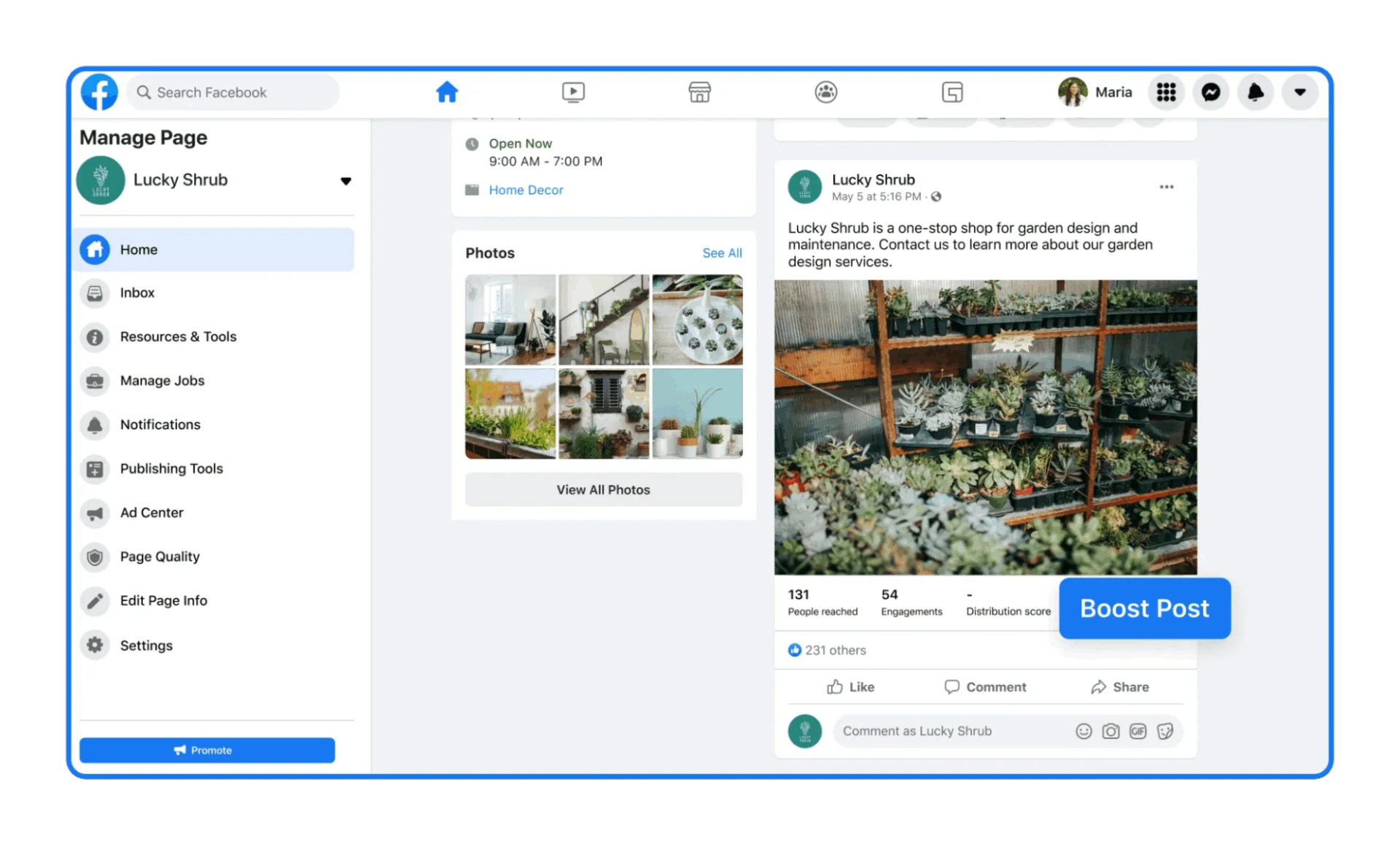 Boost Top-Performing Posts with Paid Ads