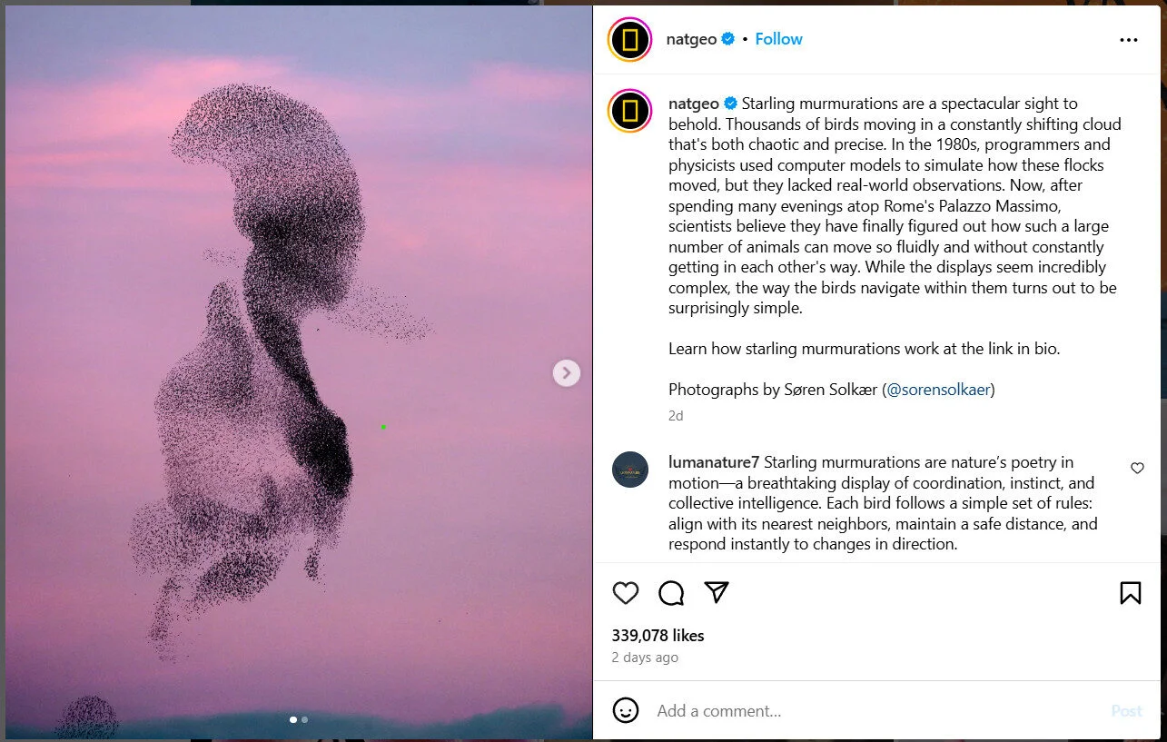 Image of NatGeo’s captivating caption under a photograph