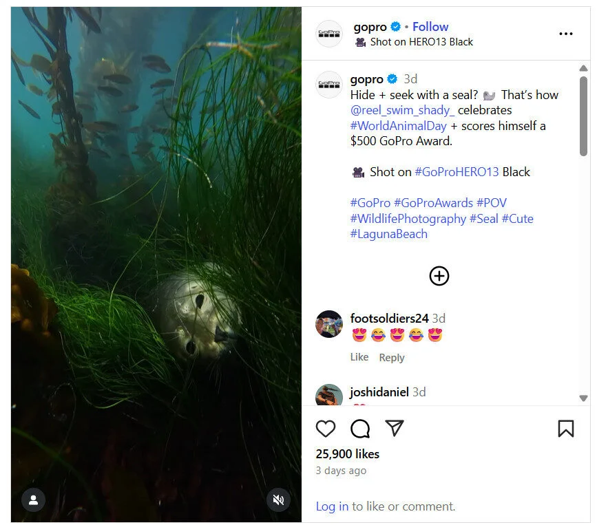 UGC campaign by GoPro