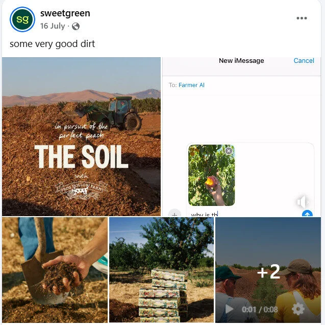 Write Catchy Captions and Description